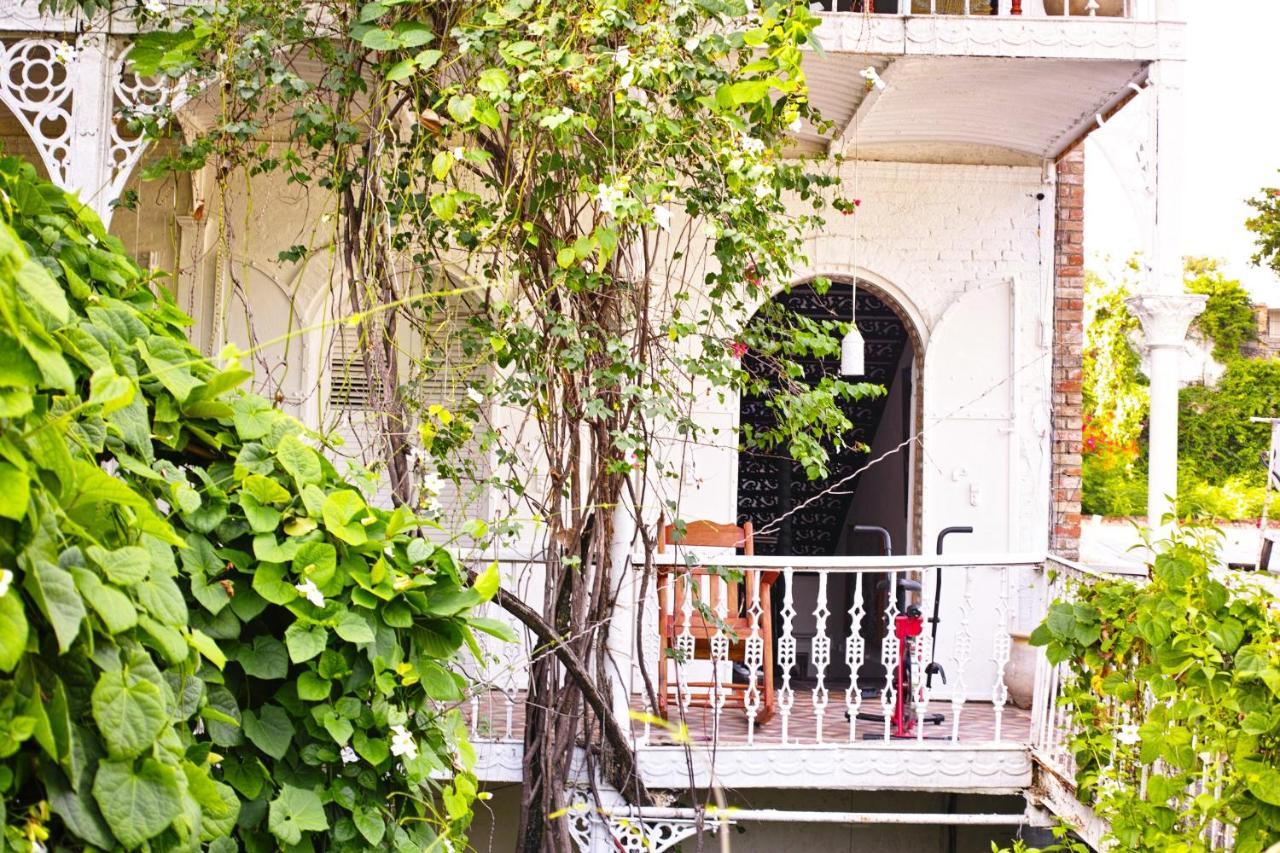 Hotel Florita Jacmel Eksteriør bilde